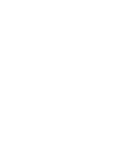 Peak Reformer Studio